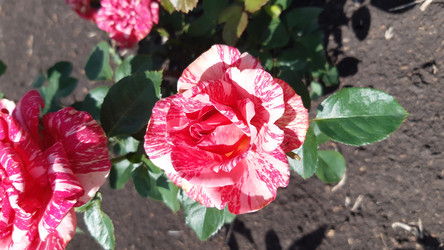 Similar image 22189015