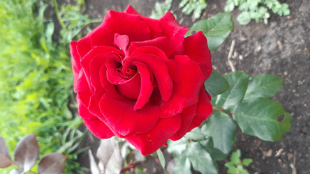 Similar image 22189018