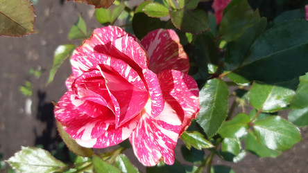 Similar image 22189021