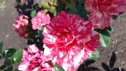 Similar image 22189023