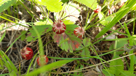 Similar image 22189025