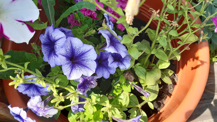 Similar image 22189026