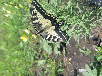 Similar image 22189028