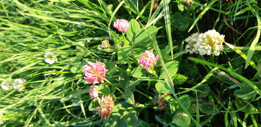 Similar image 22189029