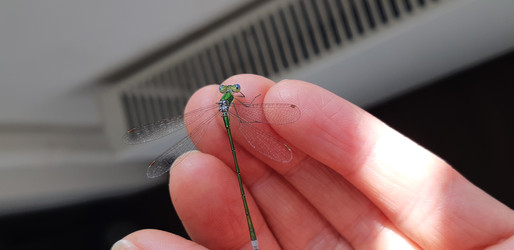 Similar image 22189031