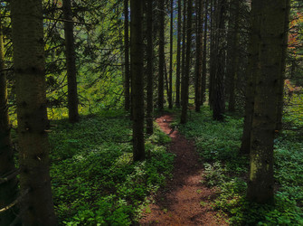 Similar image 22188738