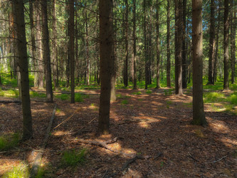 Similar image 22188739