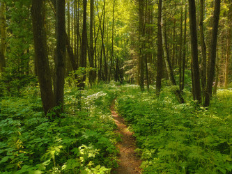 Similar image 22188740