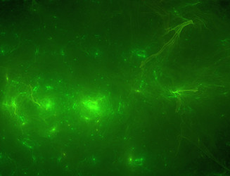 Similar image 22192334