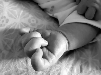 Similar image 22190019