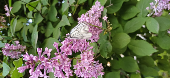 Similar image 22190022