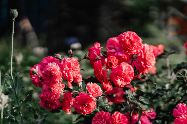 Similar image 22188796