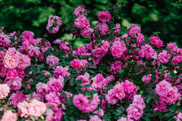 Similar image 22188797