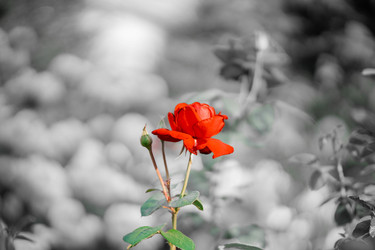 Similar image 22188798