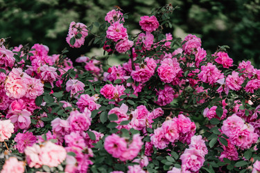 Similar image 22188799