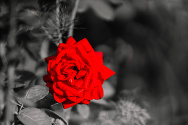 Similar image 22188800