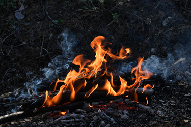 Similar image 22188806