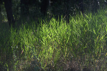 Similar image 22188811