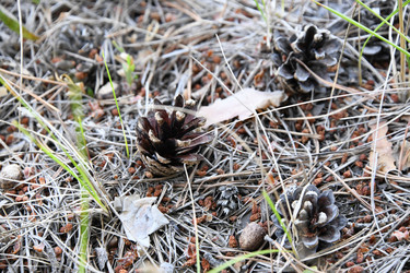 Similar image 22188814