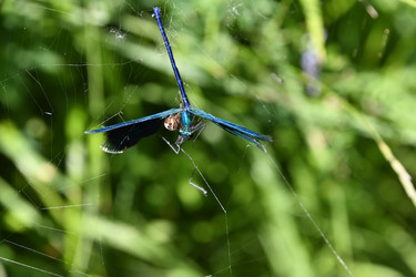 Similar image 22188815