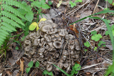 Similar image 22188817