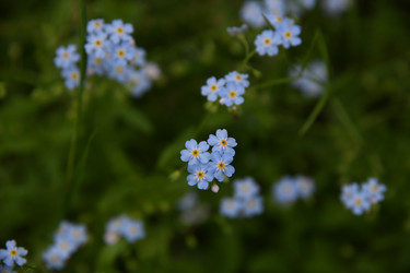 Similar image 22188818