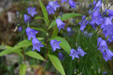 Similar image 22188819