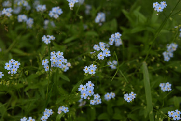 Similar image 22188820