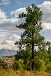 Similar image 22188822