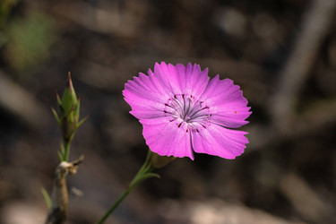 Similar image 22188831