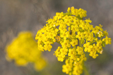 Similar image 22188833