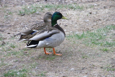 Similar image 22189705