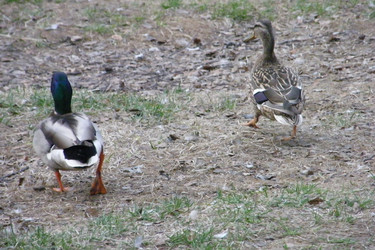 Similar image 22189706