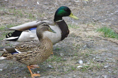 Similar image 22189708