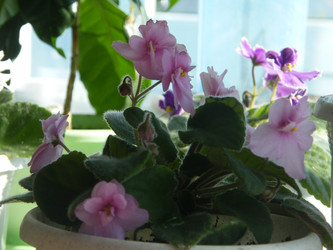 Similar image 22190040