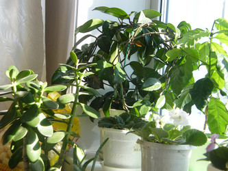 Similar image 22189577