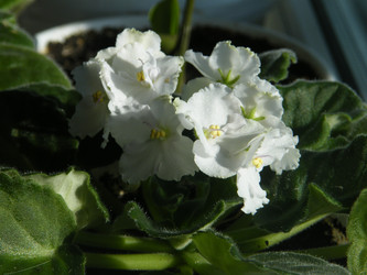 Similar image 22189578