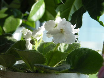 Similar image 22189580