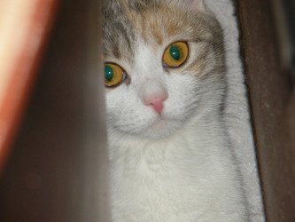 Similar image 22189581