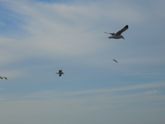 Similar image 22190045