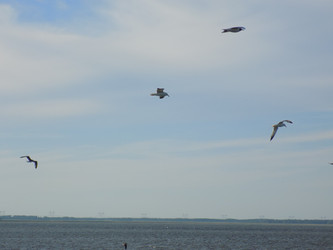 Similar image 22190046