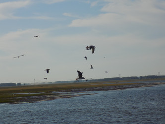 Similar image 22190047