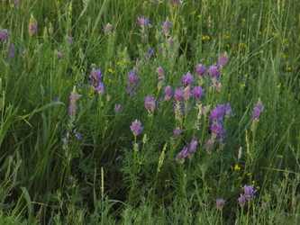 Similar image 22190049