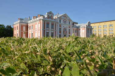 Similar image 22194519