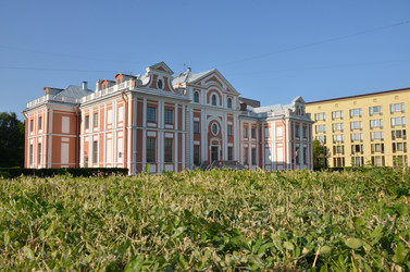 Similar image 22194521