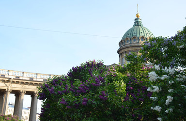 Similar image 22189381