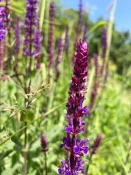 Similar image 22189390