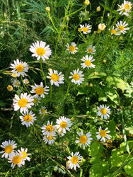 Similar image 22189392