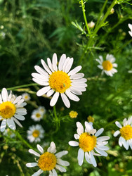 Similar image 22189393