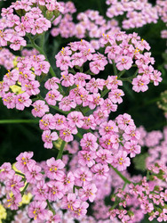 Similar image 22189394